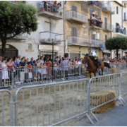 Palio di San Bruno 18