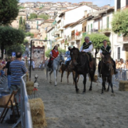 Palio di San Bruno 6